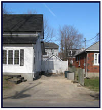 Tree removal after